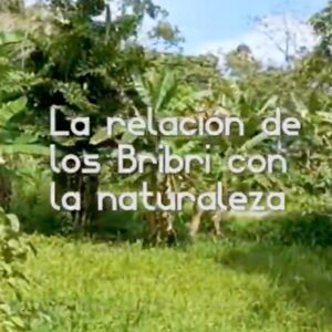 La relacion de los Bribris con la naturaleza