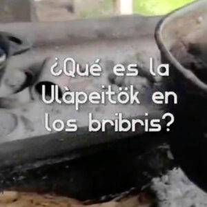 ¿Que es la Ulàpeitök en los bribris?