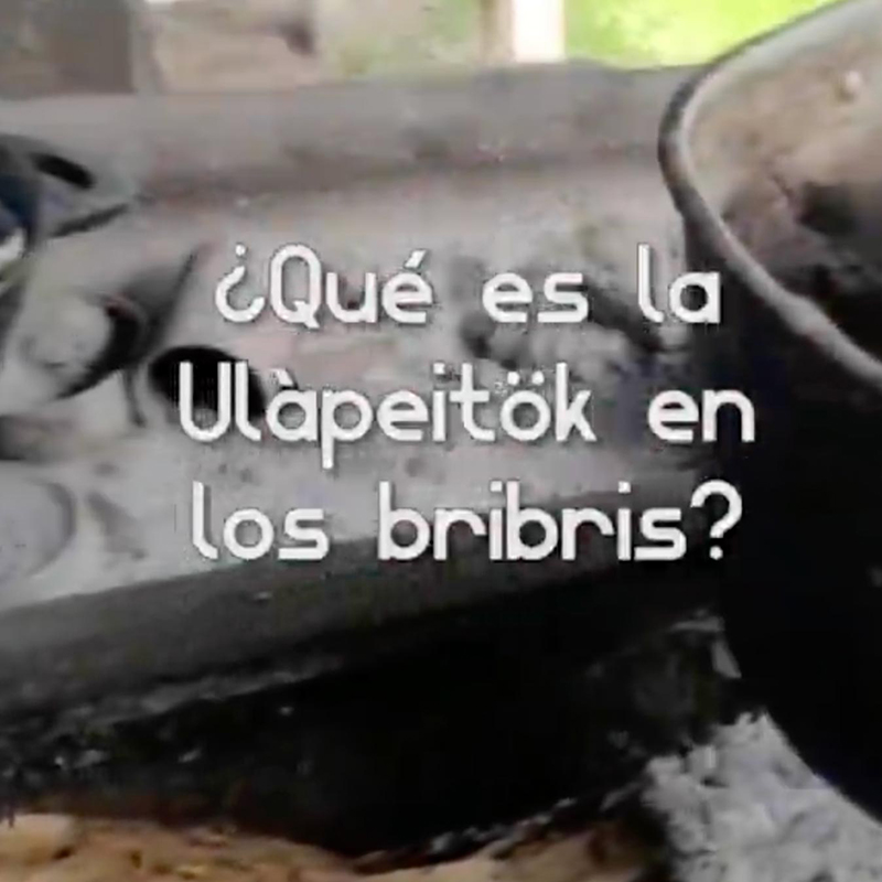¿Que es la Ulàpeitök en los bribris?