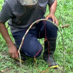 Trampas para pájaros