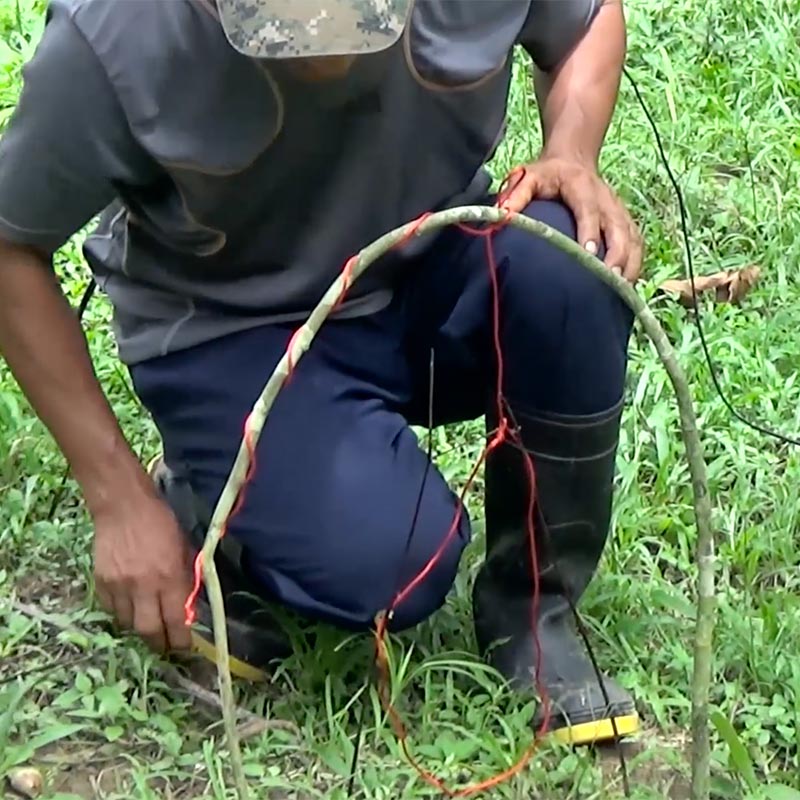 Trampas para pájaros
